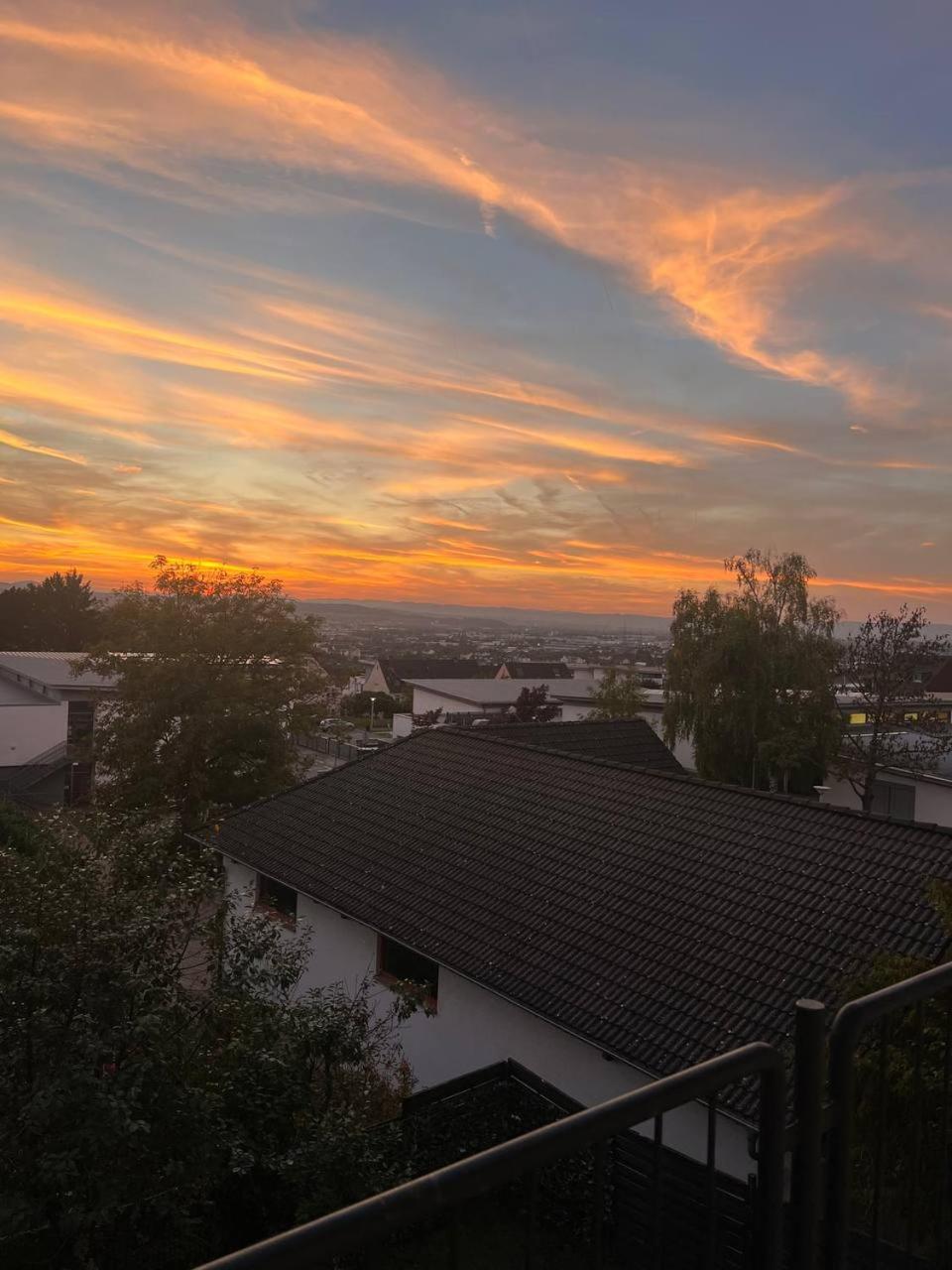 Rheinview Sunset In Urbar Apartamento Urbar  Exterior foto
